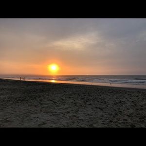 Meet your Posher, Eva